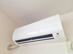 メルヴェーユ 0203号-15