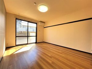 ドルフ.SA 0102号-2