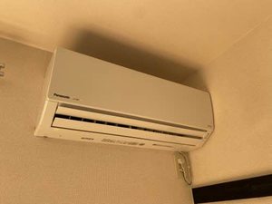 ドルフ.SA 0102号-5