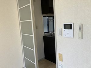 フリーフライトびわじま 0201号-4