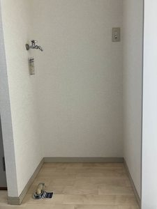 フリーフライトびわじま 0201号-8