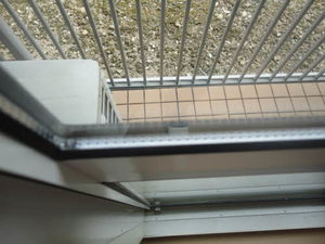 フレグランスりんどう 0102号-12