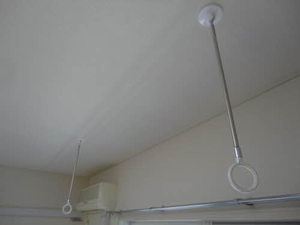 フレグランスりんどう 0105号-11