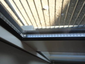 フレグランスりんどう 0105号-12