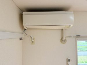 フレグランスりんどう 0203号-6