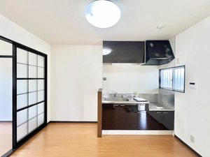 ビラ　イチカワ寿 0102号-3