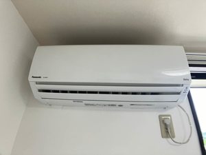 フレグランスのぞみ B102号-3