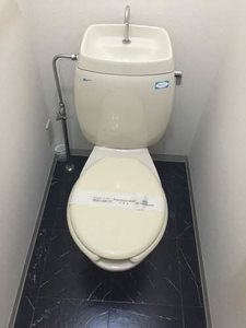 ＤＡＮＡ　ＱＵＥＥＮ 0203号-7