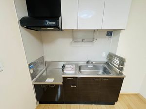 雪月花・雪 A101号-8