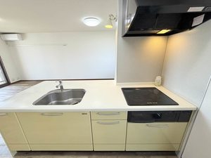 デリカ 0103号-3