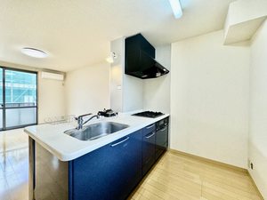 Ｃｏｎｆａｒ　Ｇｕｃｃｉ B102号-5