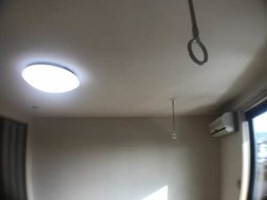 カメリアコート 0201号-3