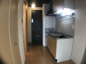 カメリアコート 0201号-6