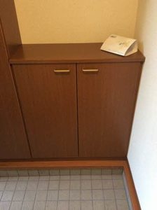 ディアスフラワ－ハウスⅡ 0101号-8