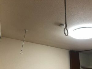 Ｃｏｚｙ　Ｃｏｕｒｔ 0101号-5