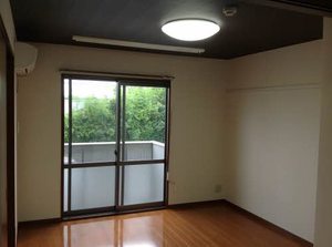メイプルフラット 0202号-8