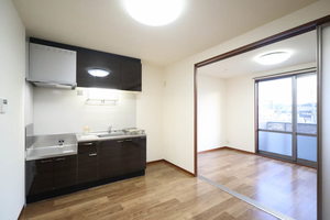 ダイヤディアス 0205号-2