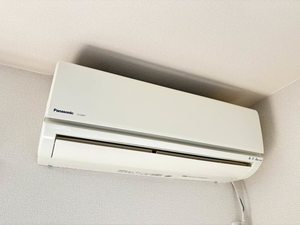 大ヤブ 0203号-12