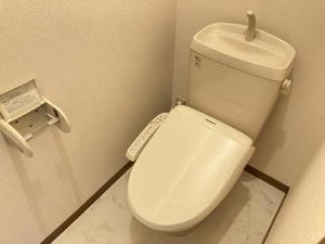 STEP COURT ONIWA 0101号-9