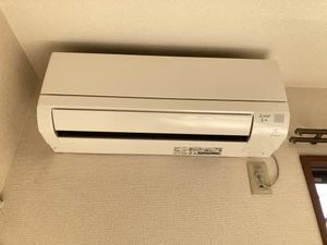 STEP COURT ONIWA 0101号-12