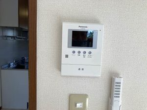 STEP COURT ONIWA 0101号-13