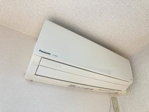 プラシィド パレス C206号-9
