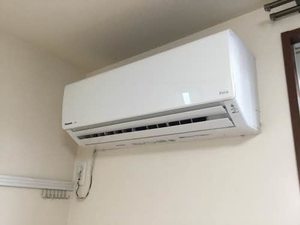 メイハイム B101号-9