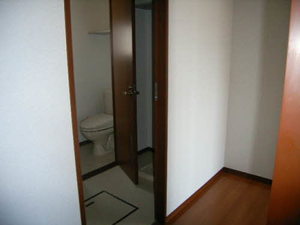 Ｓｕｎ　ｓｈｉｎｅ A201号-2