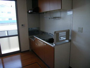 Ｓｕｎ　ｓｈｉｎｅ A201号-5