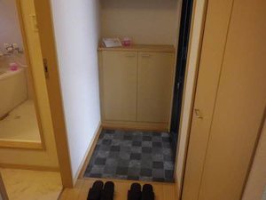 Ｓｕｎ　ｓｈｉｎｅ B201号-3