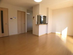 ライズコート A102号-2