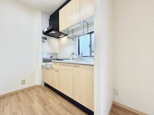 ライズコート B201号-4