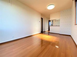 ルミエール弐番館 A201号-2