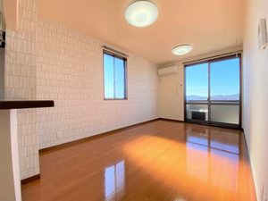 ルミエール弐番館 A201号-3