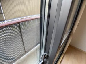 パルモ　シャリテ 0101号-14