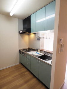 ピュアパルクシクーザ B203号-4