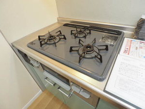 ピュアパルクシクーザ B203号-5