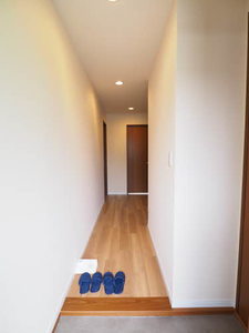 ピュアパルクシクーザ B203号-12