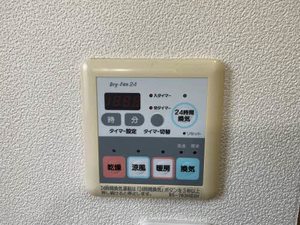 アルストロメリア B201号-13