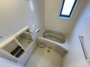 バリュージュ えみれい 0101号-4
