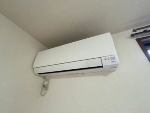 バリュージュ えみれい 0101号-10