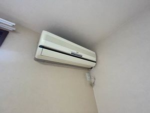 バリュージュ　えみれい 0102号-8