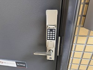 セント・エルモス M103号-8