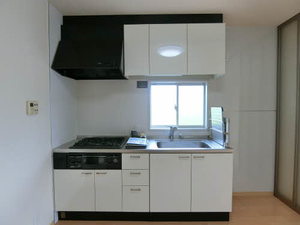 Ｓｕｎｆｌｏｗｅｒ 0101号-6