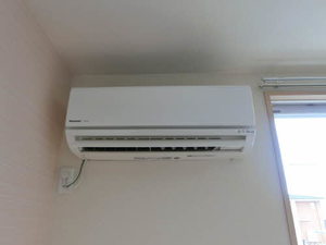 Ｓｕｎｆｌｏｗｅｒ 0101号-12