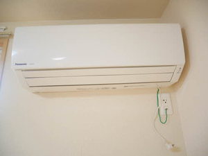 Sunflower 0102号-13