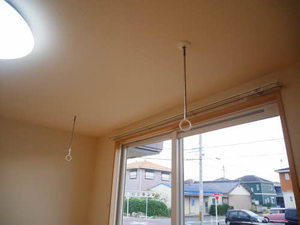 Sunflower 0102号-14