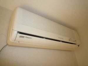 サニーコート A102号-3