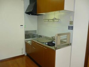 パラダイス A201号-2