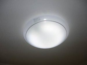 パラダイス A201号-12